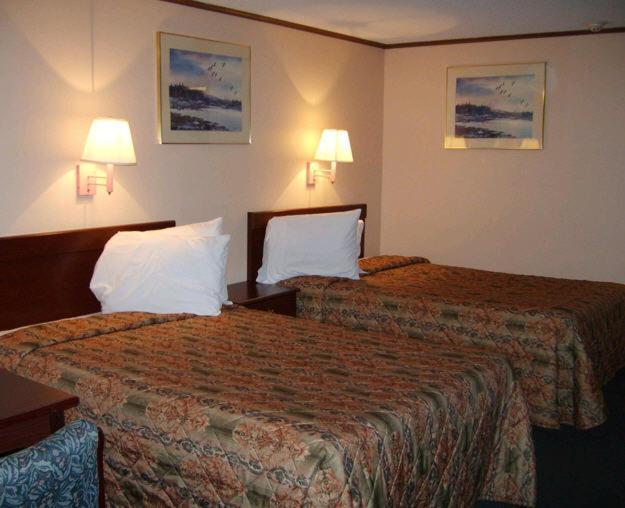 Budgetel Inn & Suites Columbus Værelse billede